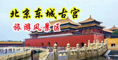 1000部男干女优物视频中国北京-东城古宫旅游风景区